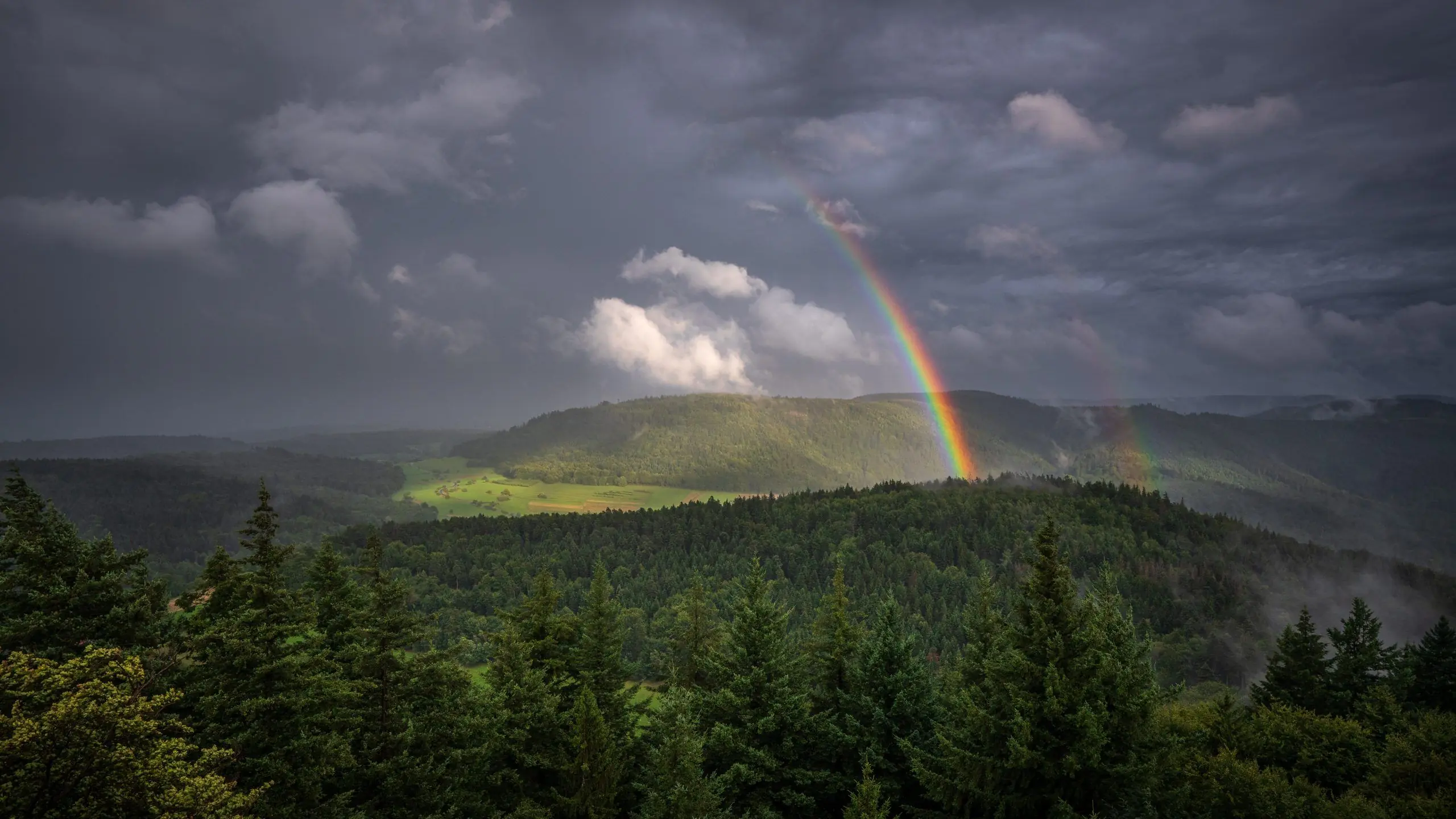Gratitude in the Storm