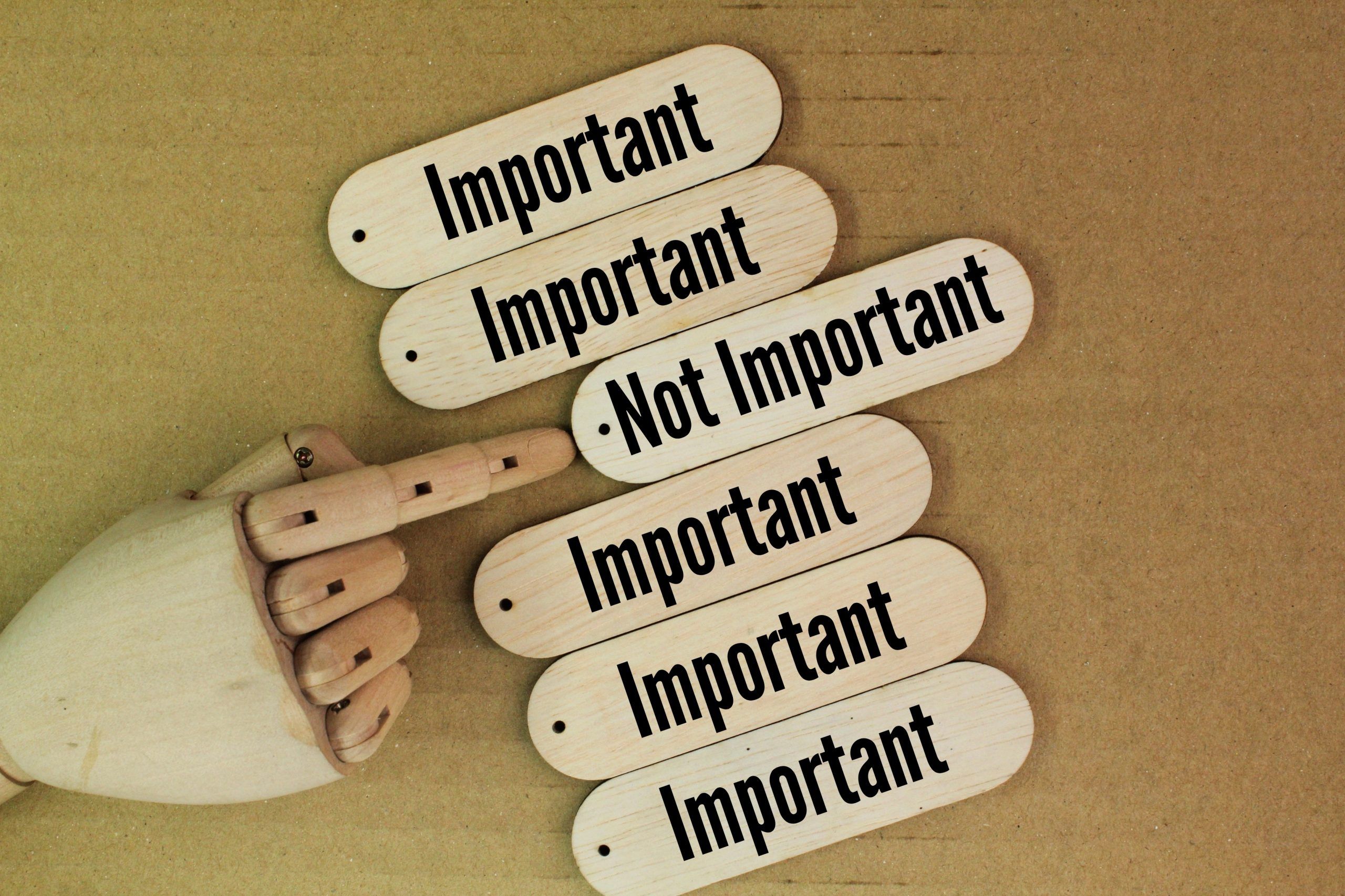 Echoism – The Fear Taking Up Space