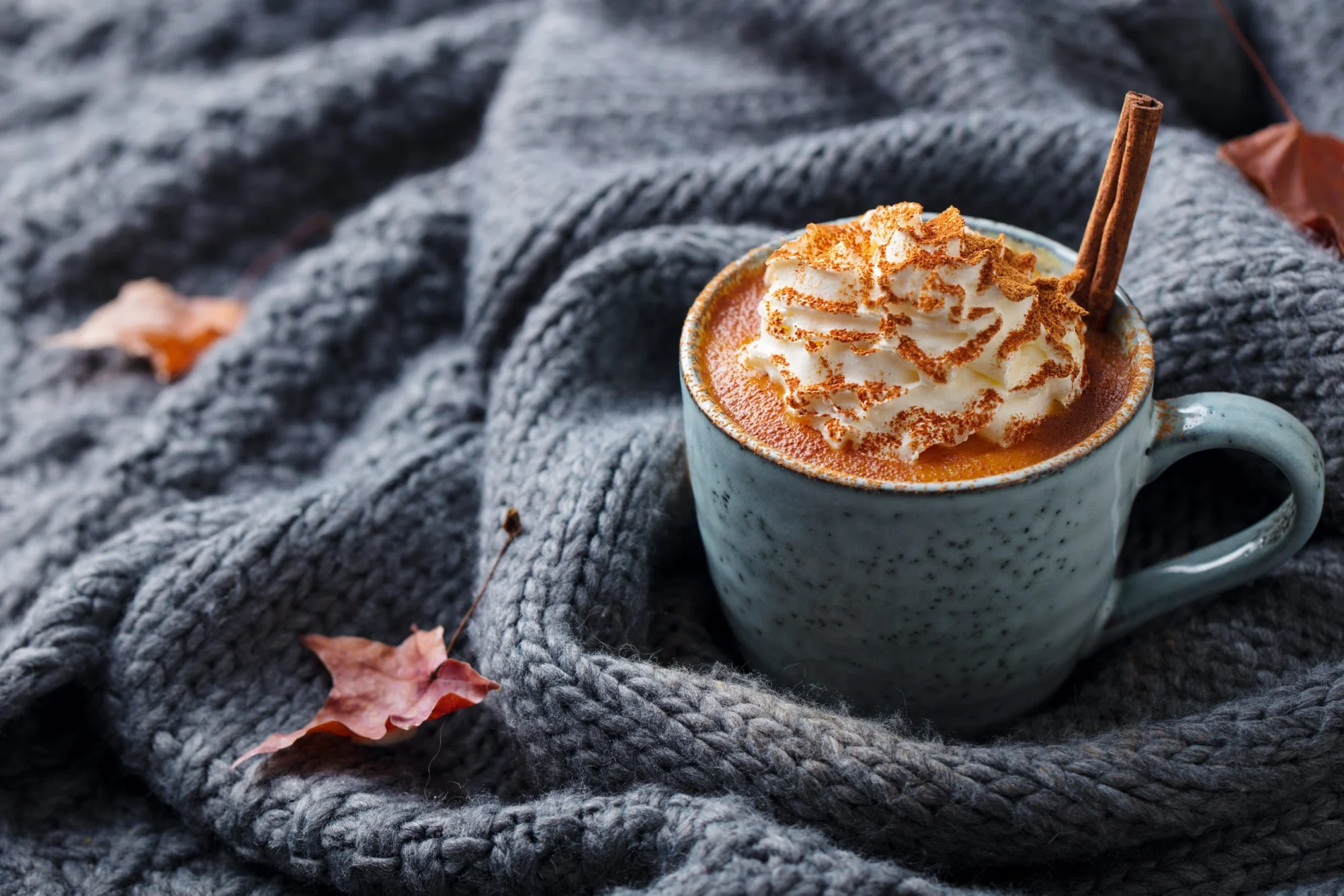  Pumpkin Spice – The Quintessential Flavor of Fall