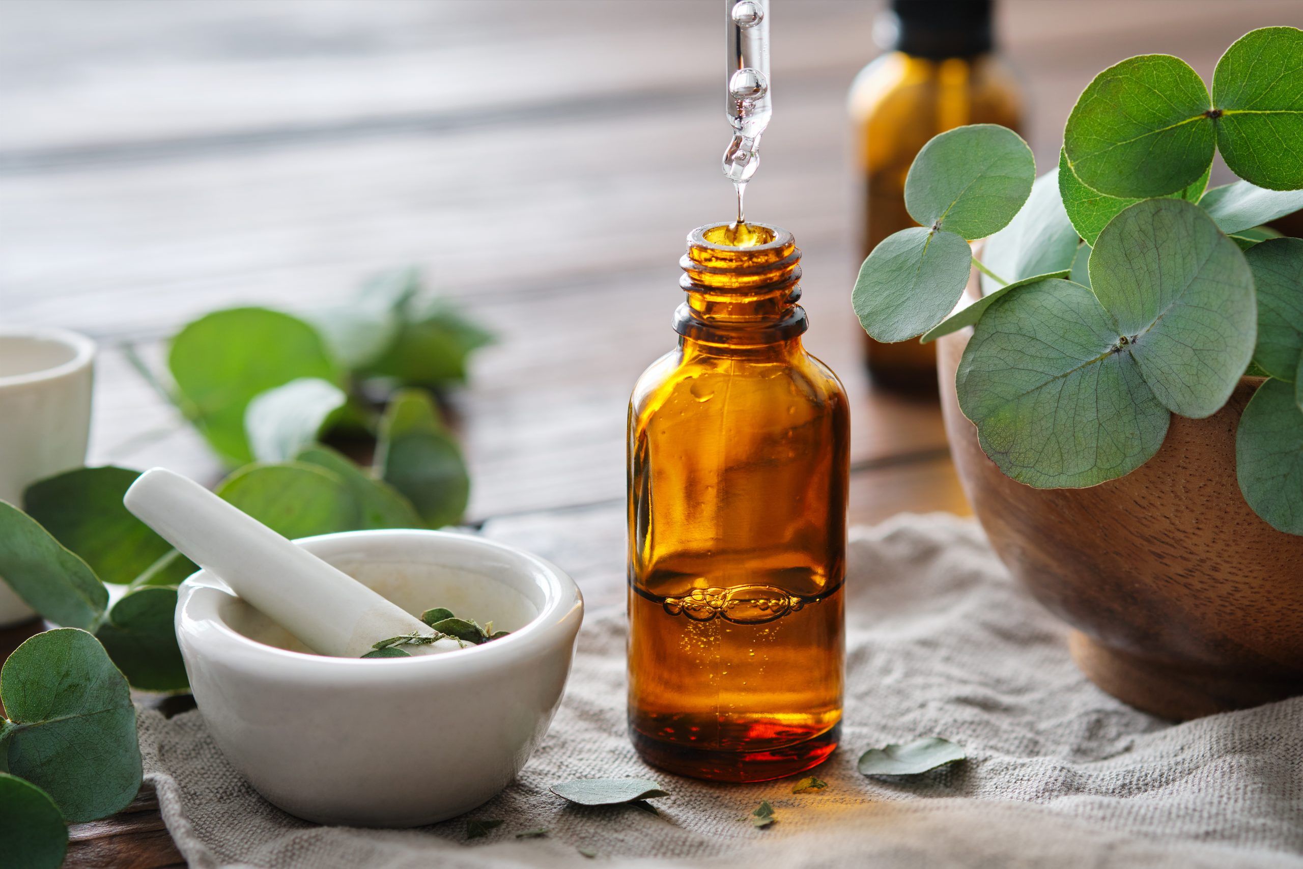 Exploring the Historical Reflections of Naturopathy