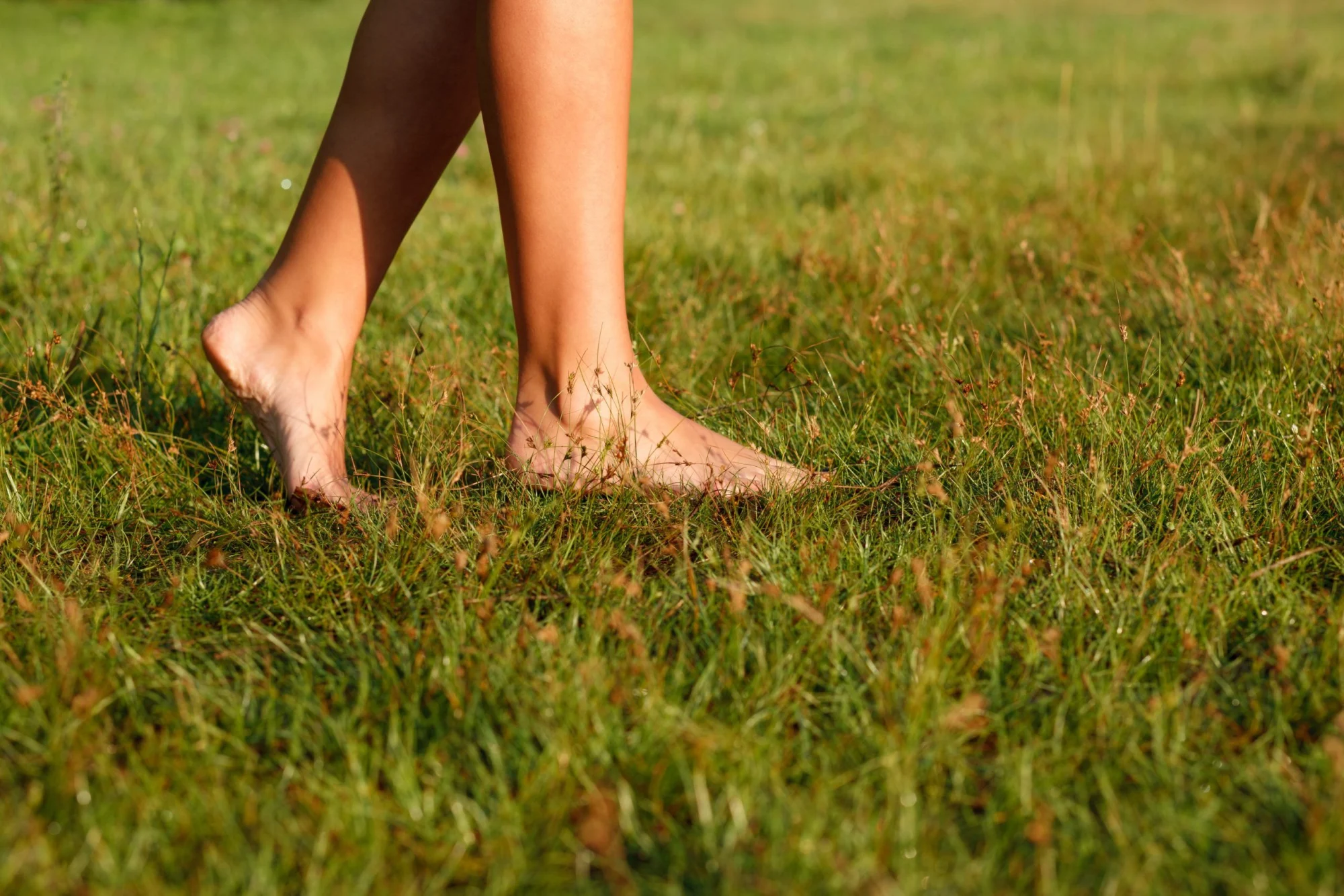 The Science Behind Earthing