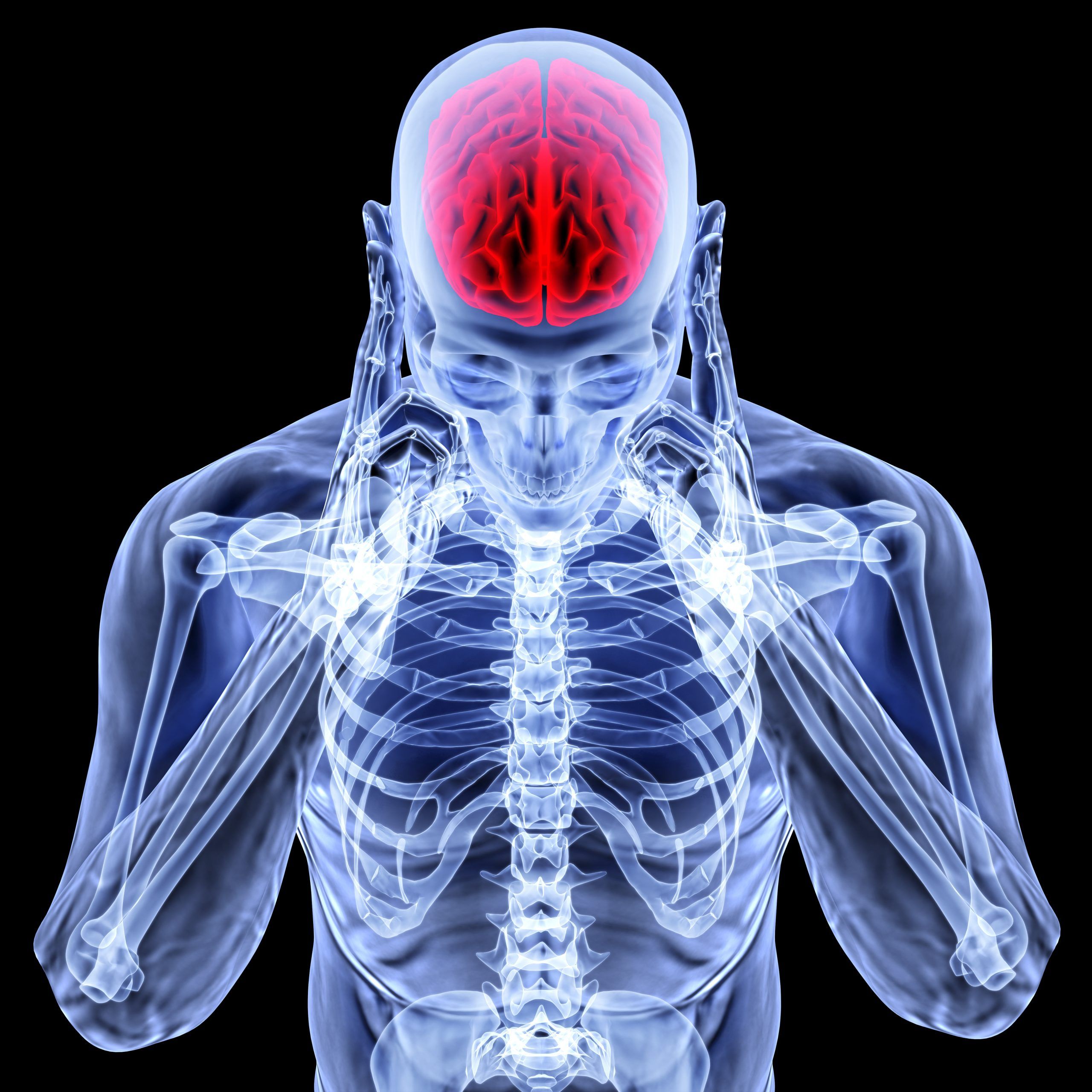 The Brain-Body Connection