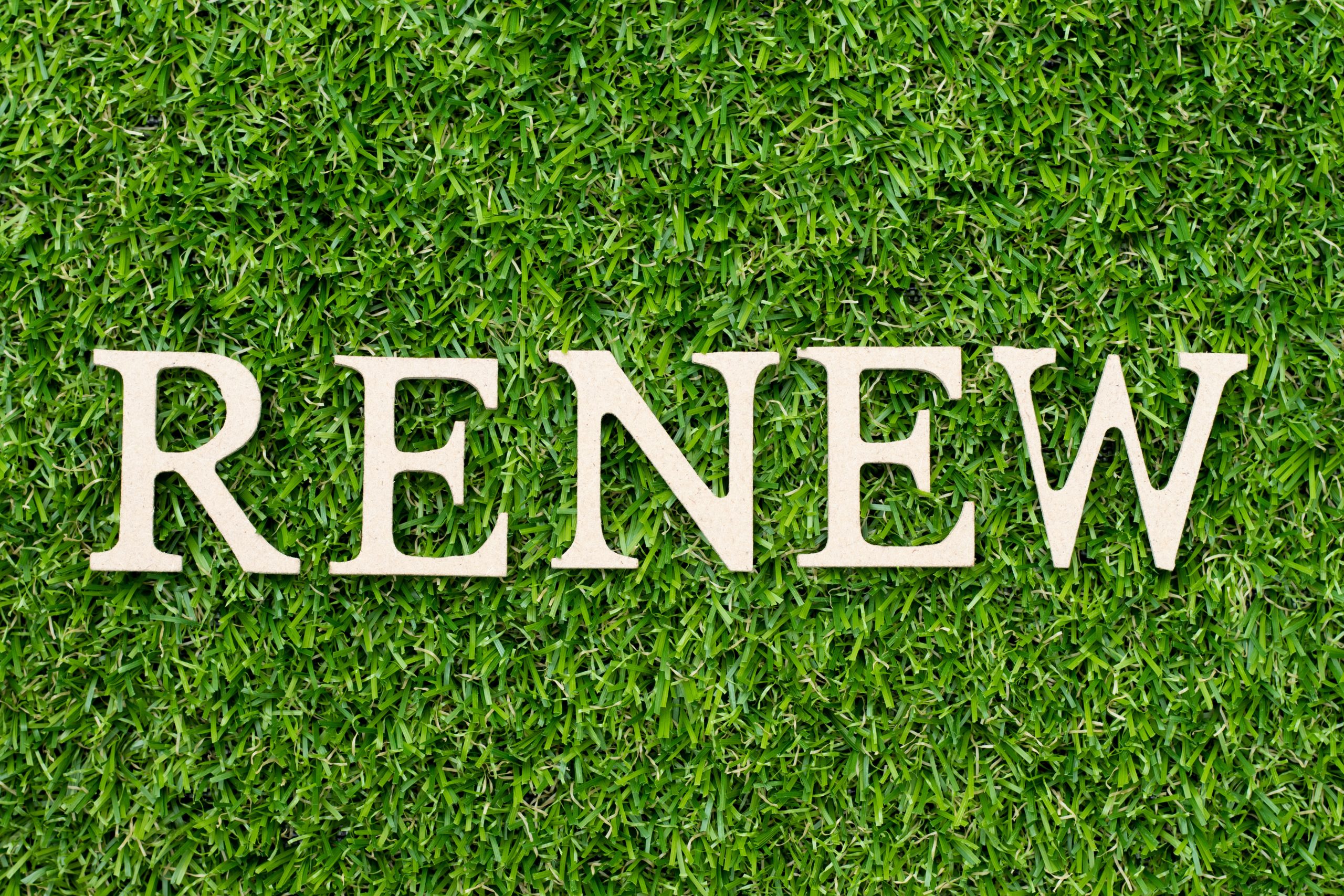 Renew Yourself