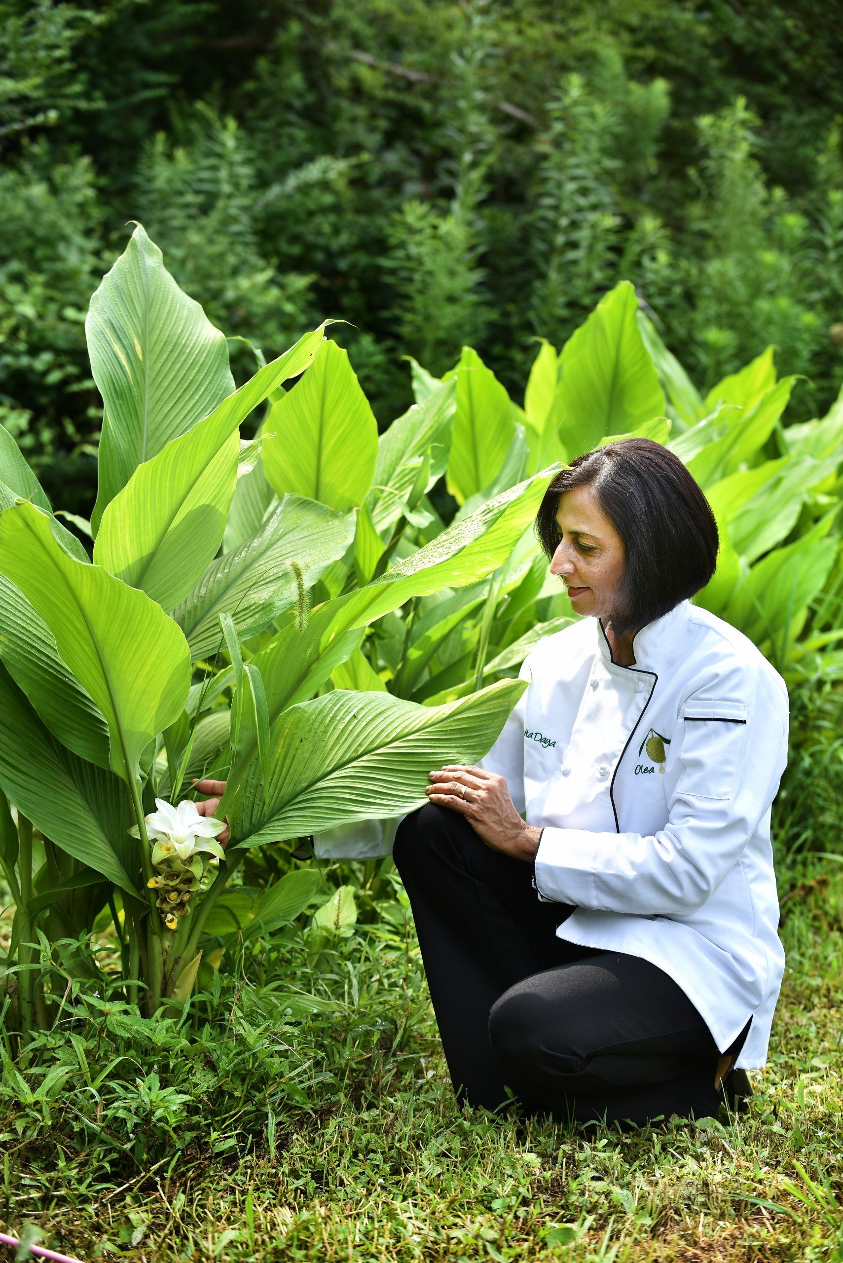 Turmeric At Its Roots: Ode to Olena