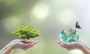 Using Your Money to Make a Difference